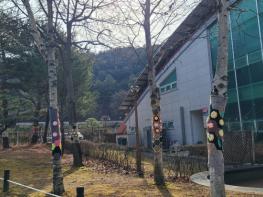충북 미동산 수목원, 따뜻한 겨울맞이‘나무 털옷’보러 오세요 기사 이미지