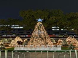 인천시, 성탄트리 점등식과 시민문화축제 열어  … 희망의 불빛으로 인천을 물들이다 기사 이미지