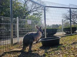 진주시 진양호동물원, 새로운 가족이 합류!…10일부터 선보여 기사 이미지