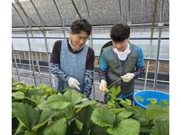 청년이 돌아오고 농촌이 살아나는 강진군 귀농설계도 기사 이미지