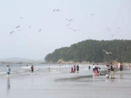 서천군 춘장대해수욕장, ‘올해의 우수해수욕장’ 선정 기사 이미지