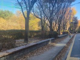 청주시, 가경동 석남천 경관녹지 정비 완료 기사 이미지