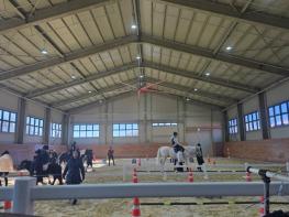 경북교육청, 2025년 겨울 재활승마 가족 캠프 운영 기사 이미지