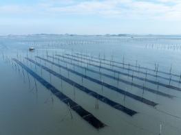 전남도, AI·스마트 양식 전환으로 수산업 새 도약 기사 이미지