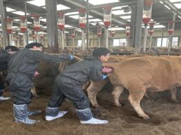 강원 축산기술연구소, 실습형 교육으로 농가 기술 경쟁력 강화 기사 이미지