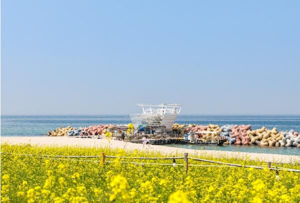 강릉시 조용한 바다에서 만나는 슬로우 여행 기사 이미지