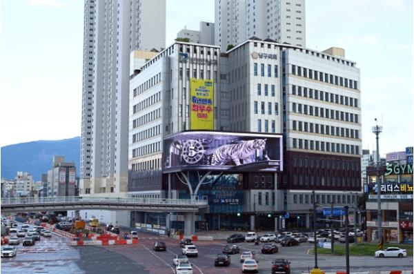 광주 남구, 하반기 재정지원 일자리 95개 제공