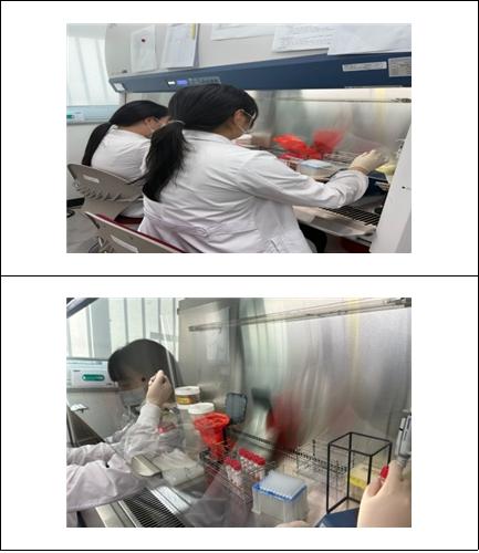대구시, 2026-2027절기 첫 독감 바이러스 검출… 작년보다 한 달 빨라 기사 이미지