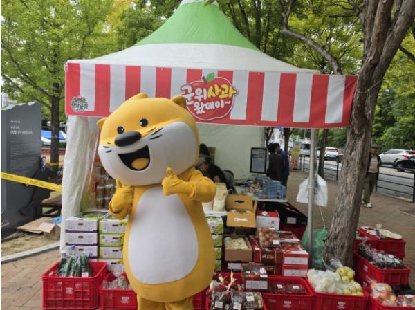 군위군, 수성못페스티벌서 ‘군위사과’알린다