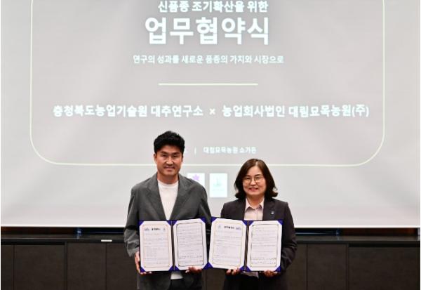 충북농기원 육성 대추 신품종, 시장 보급 ‘청신호’